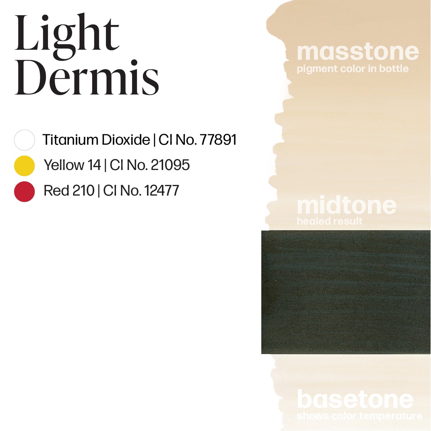 Light Dermis - Mandy Sauler Scar