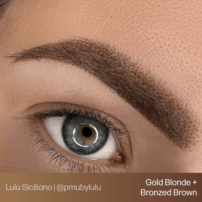 Evenflo Bronzed Brown - Blonde 2 Brunette