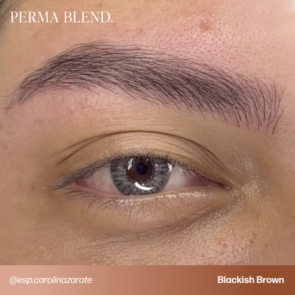 Light to Dark Eyebrow Mini Set