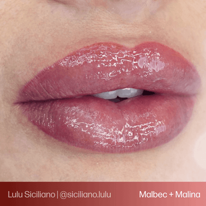 Evenflo Malbec - Lip
