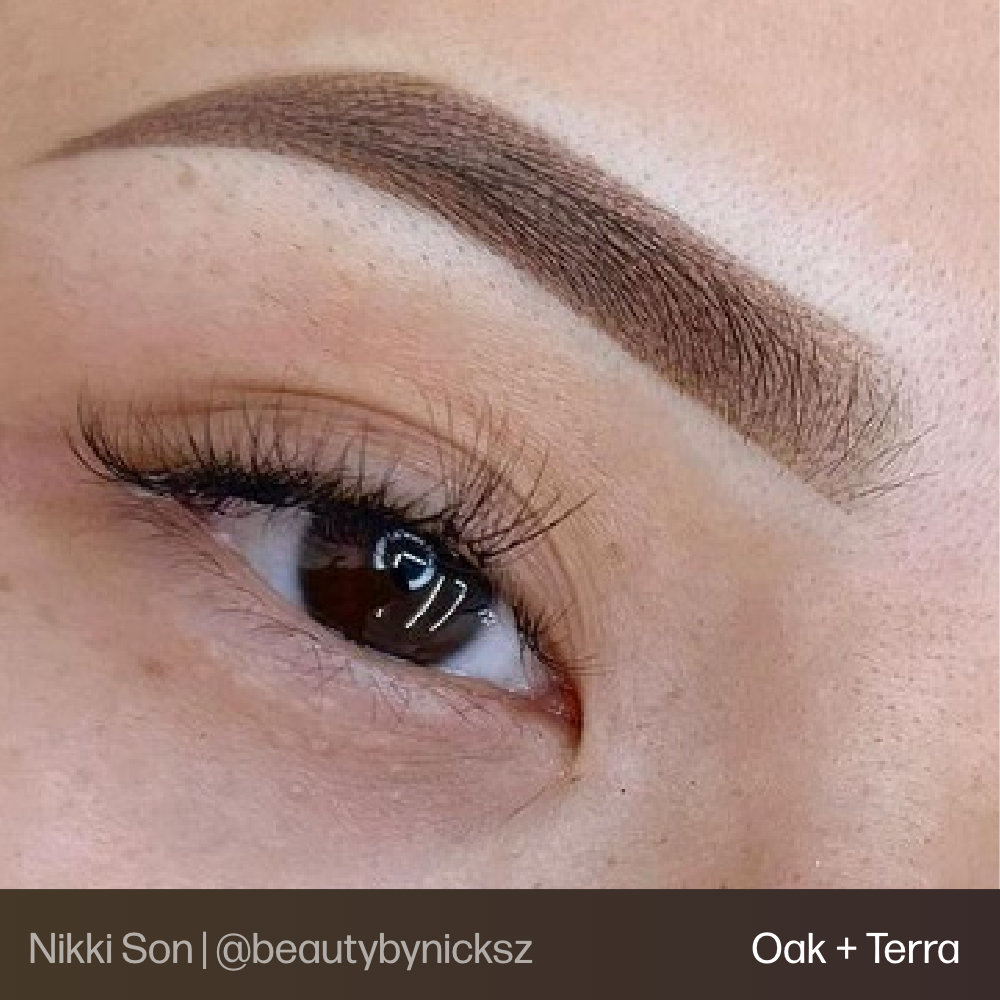 Evenflo Oak - Brow