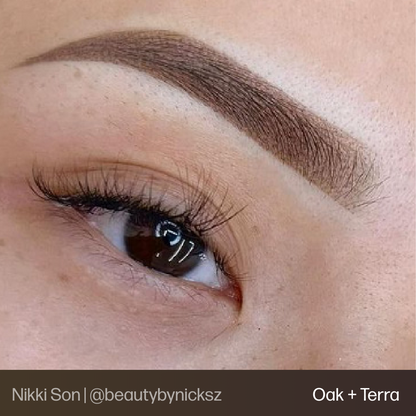Evenflo Oak - Brow