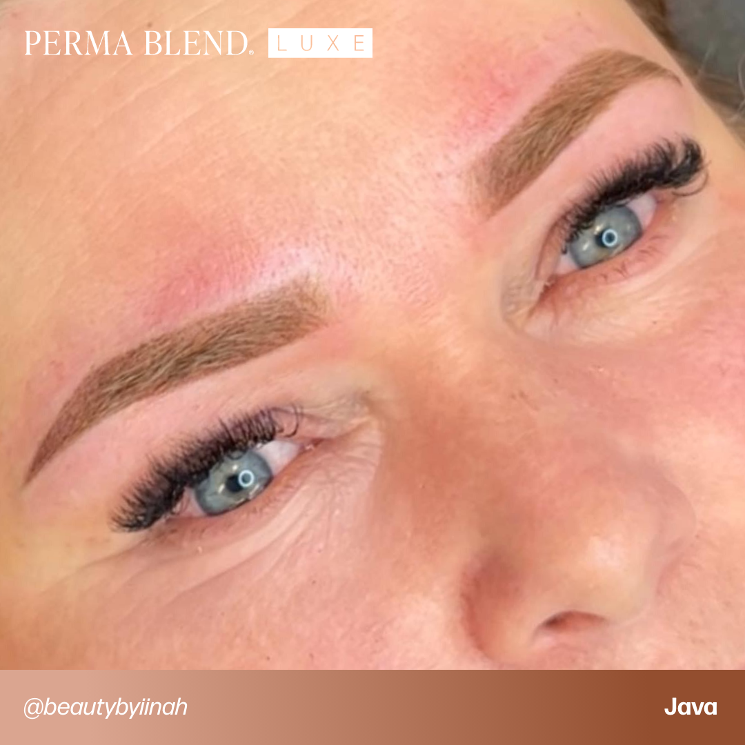 Brow Chicka Wow Wow Brow Set