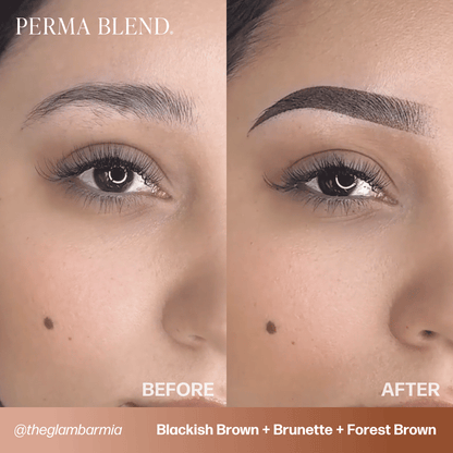 Signature Brow Set