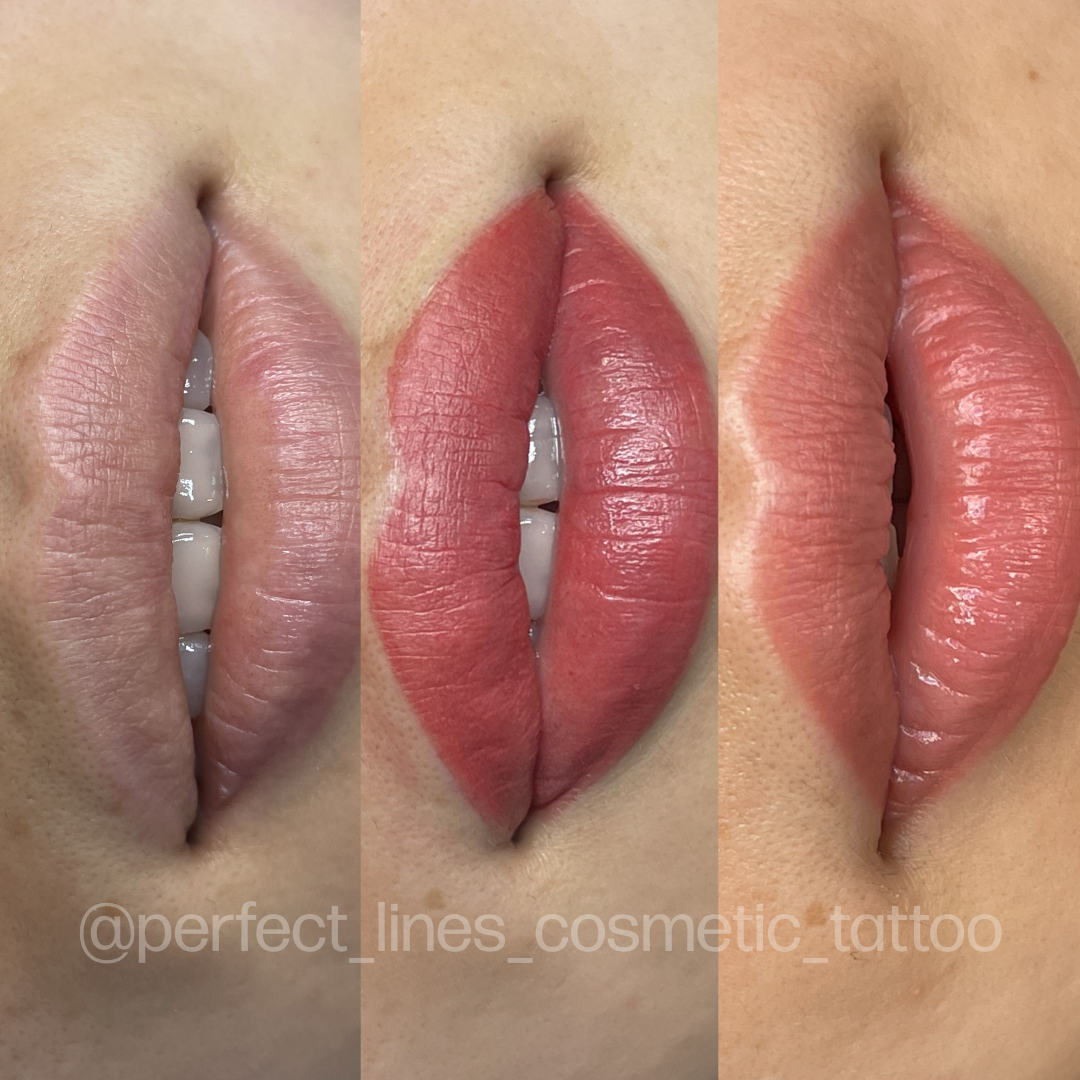 Evenflo Bare - Lip