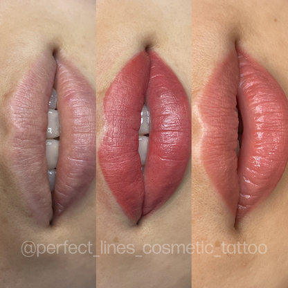 Evenflo Malina - Lip