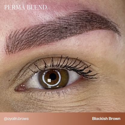 Blackish Brown