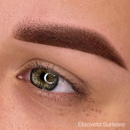 Dark Forest Brown