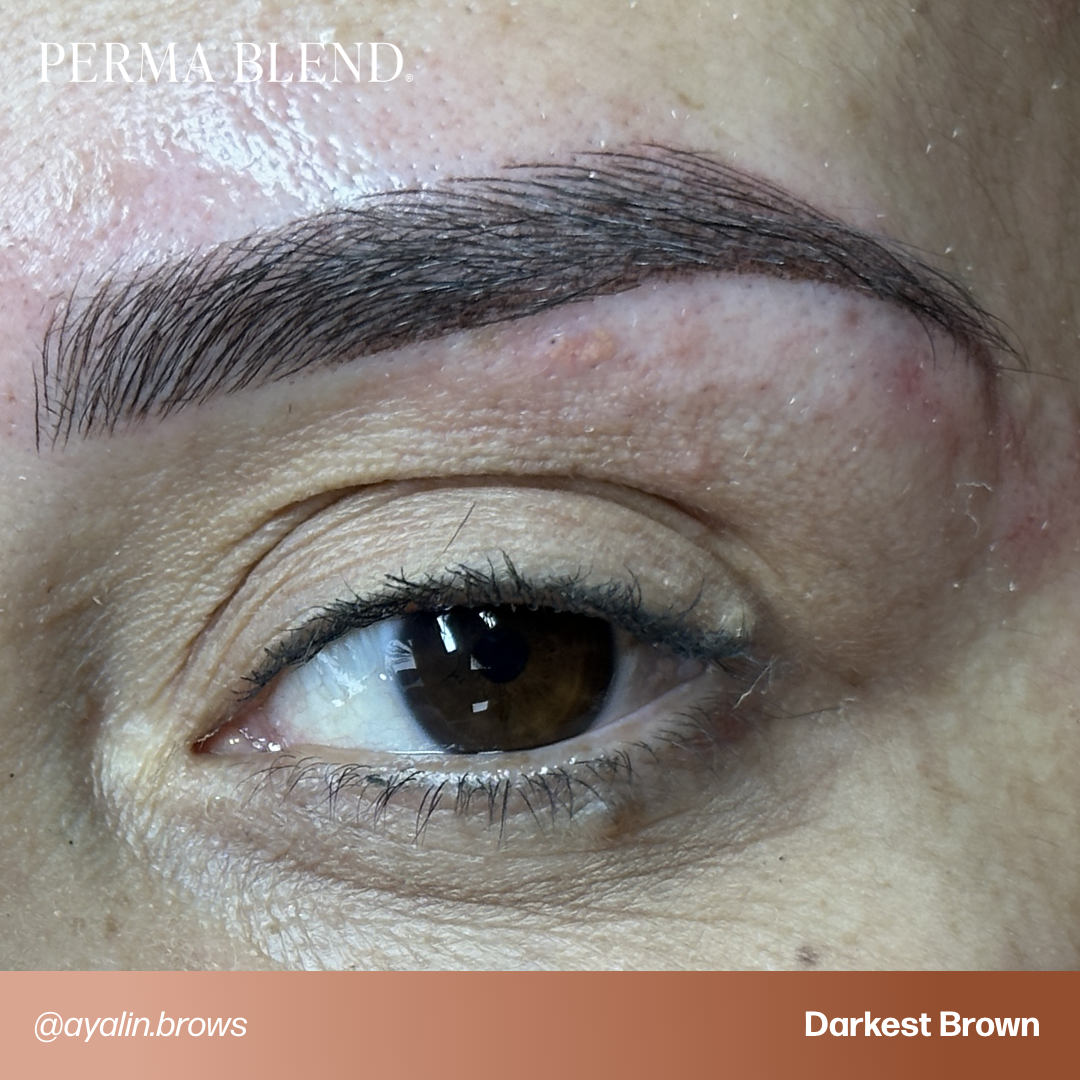 Darkest Brown