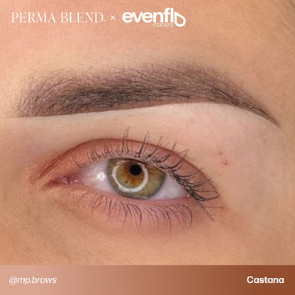 Evenflo – LUXE Blonde 2 Brunette Set