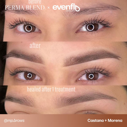 Evenflo – LUXE Blonde 2 Brunette Set