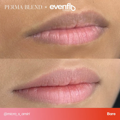 Evenflo Bare - Lip