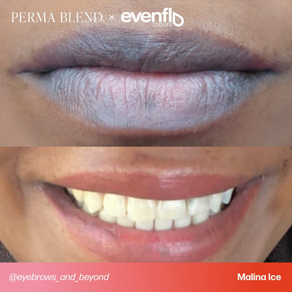 Evenflo Malina Ice