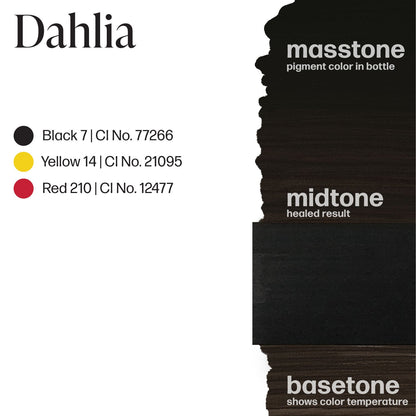 Dahlia