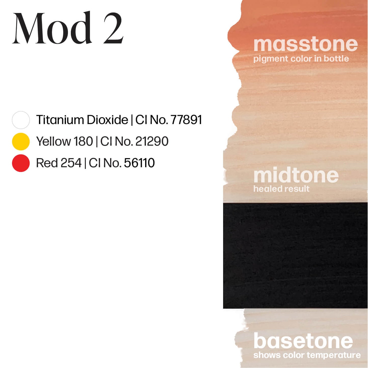 Mod 2 - Carla Ricciardone Embody